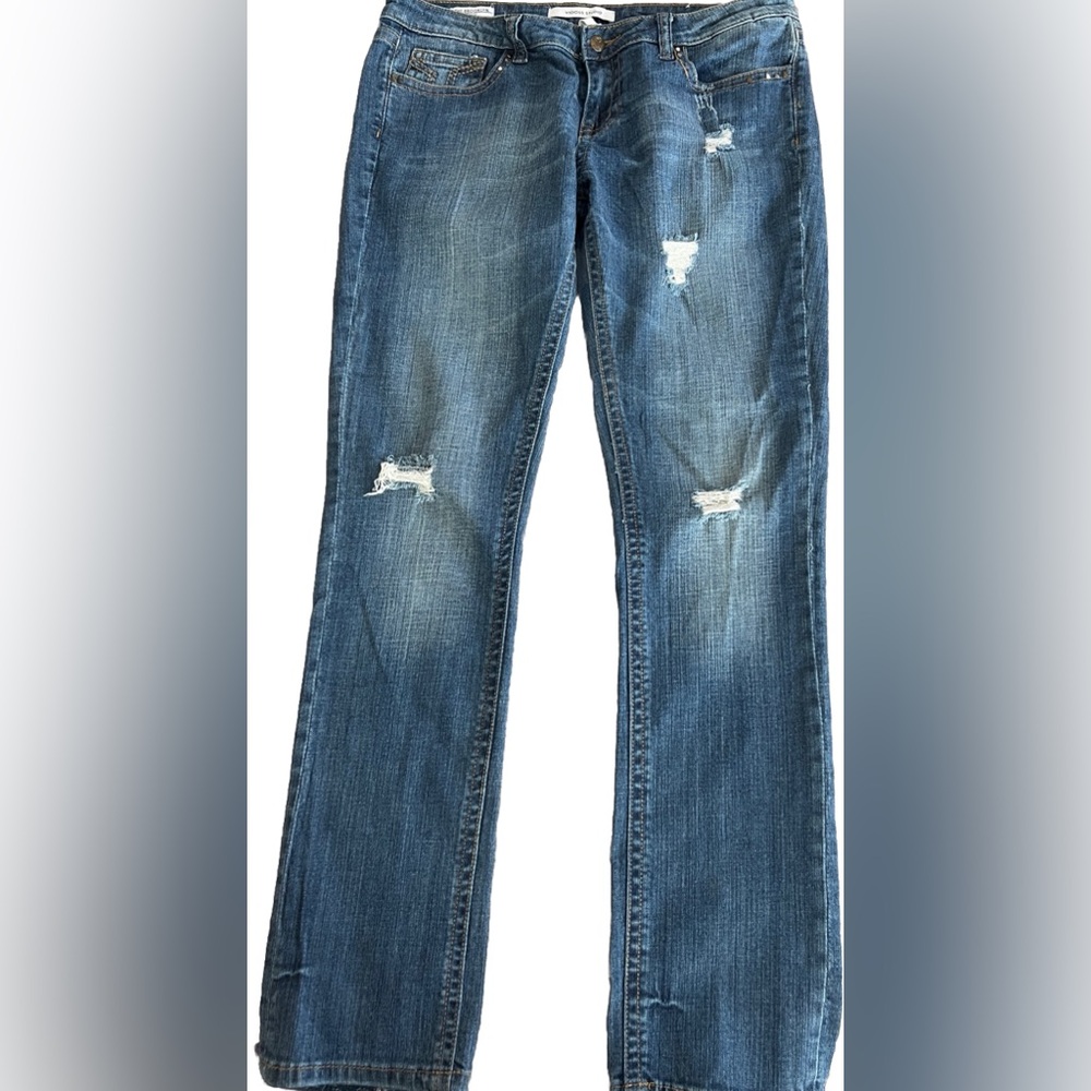 VIGOSS STUDIO The Brooklyn Skinny Studded + Embroidered Jeans Size 31 36x31